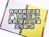 有木有做網絡推廣、宣傳方面工作的?你們工作量多少啊?求