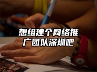 想組建個網(wǎng)絡(luò)推廣團(tuán)隊深圳吧