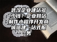 武漢企業(yè)建站多少錢？企業(yè)網(wǎng)站制作小程序開發(fā)商城搭建一站式服務(wù)