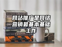 網(wǎng)站推廣是網(wǎng)絡(luò)營銷最基本基礎(chǔ)工作